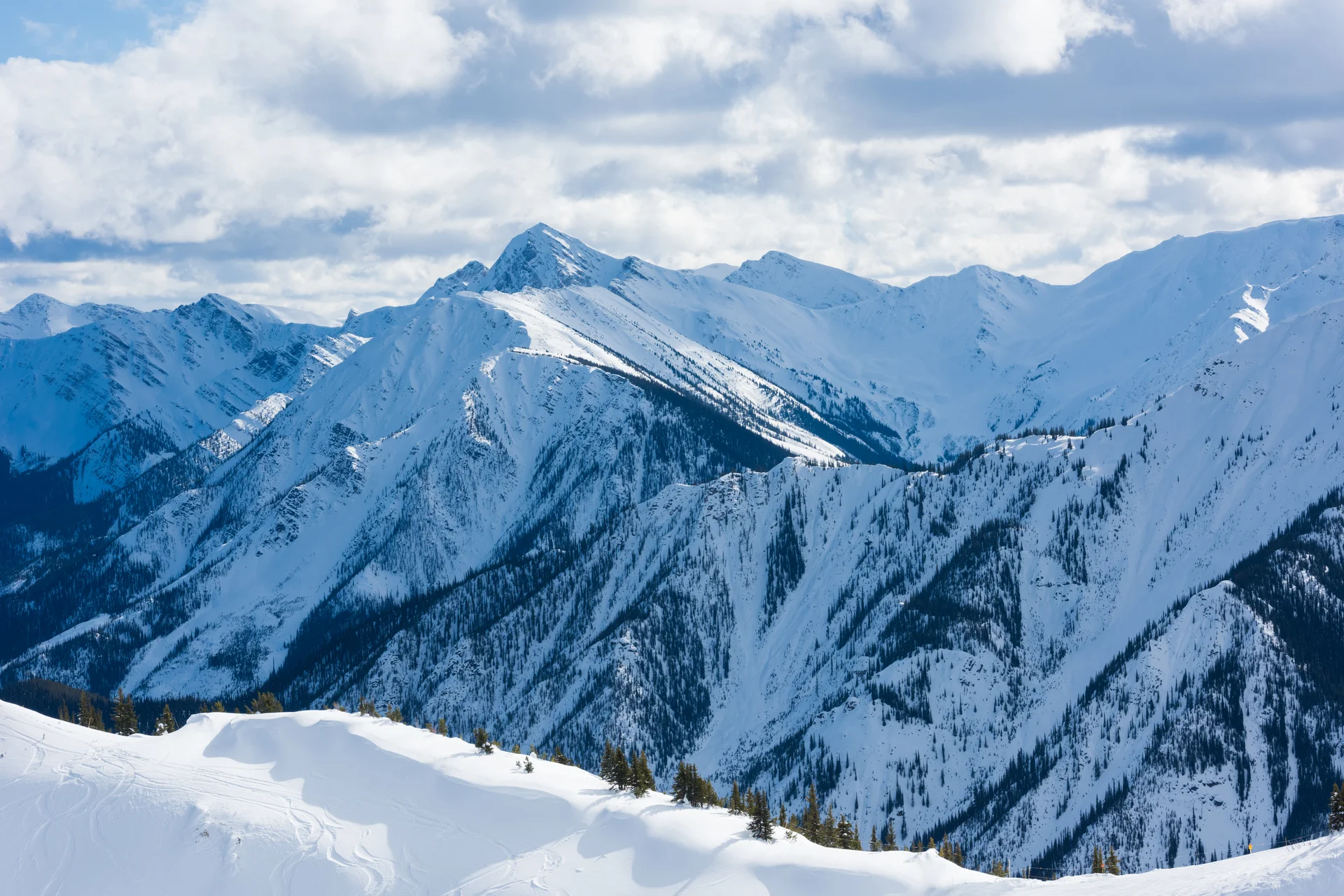 Kicking Horse