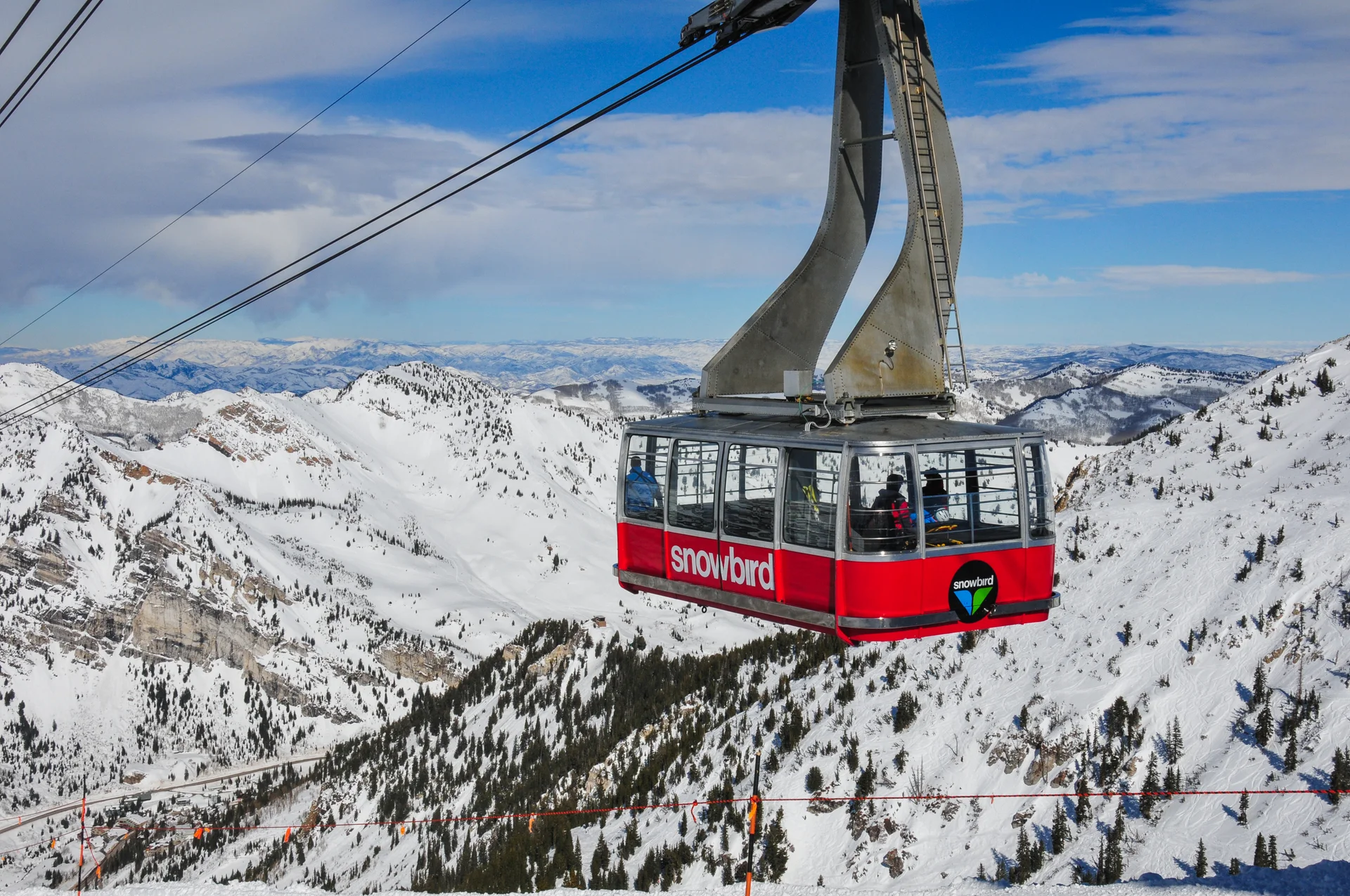 Snowbird