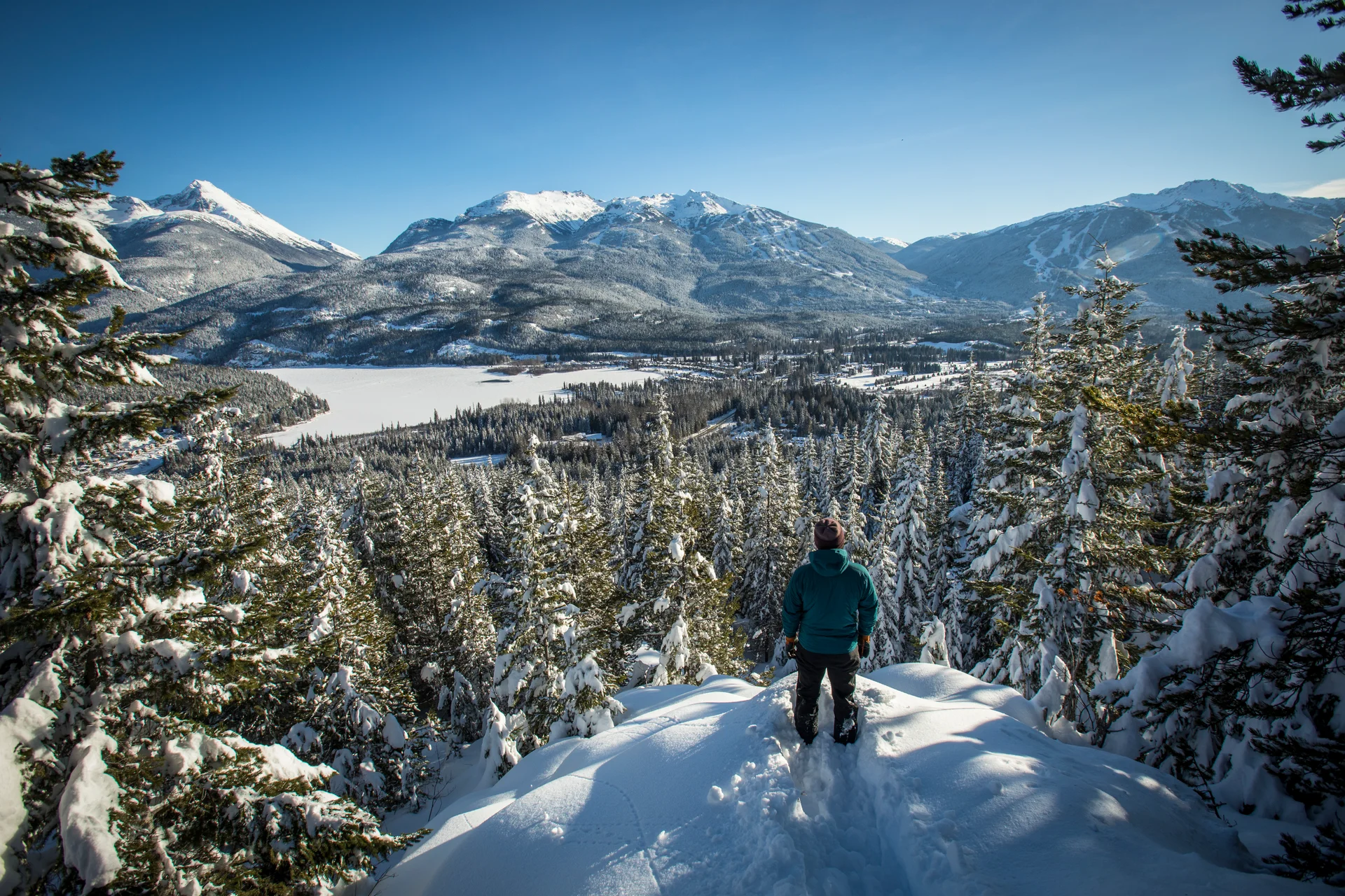 Snowshoe