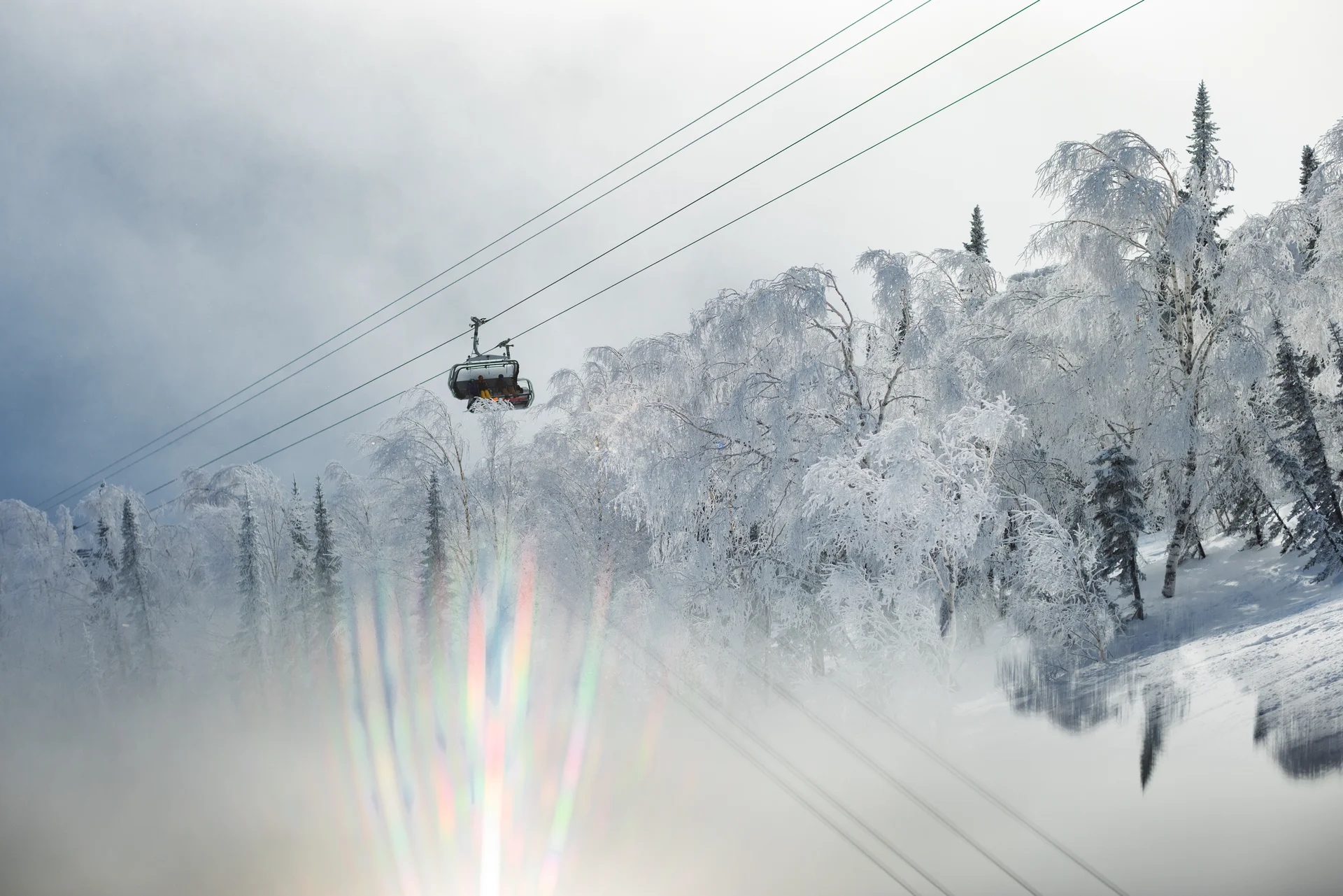 Sugarbush